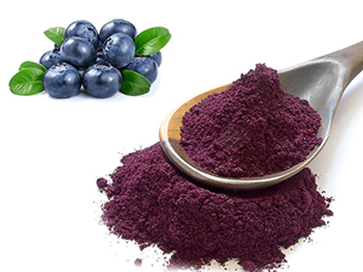 Blueberry Anthocyanin And Anthocyanidin